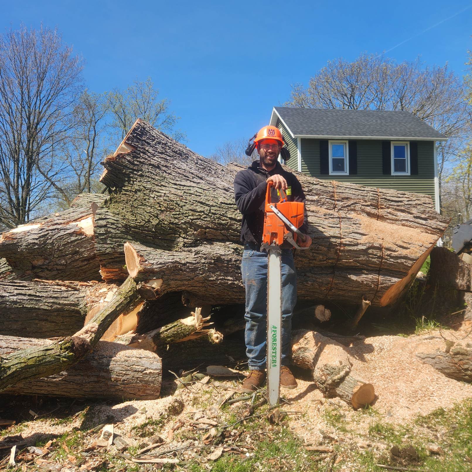 Emergency Tree Removal