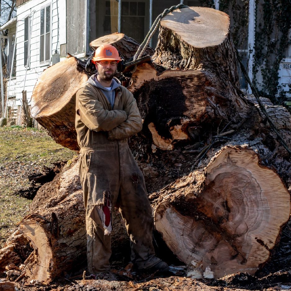 Stump Grinding